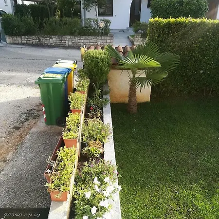 Milovanovic 2 Rovinj